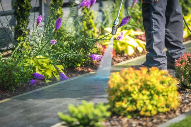 Best Gutter Cleaning  in Felton, DE