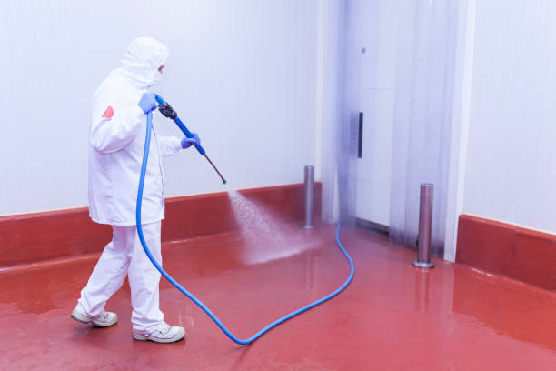Best Pool Deck Cleaning  in Felton, DE