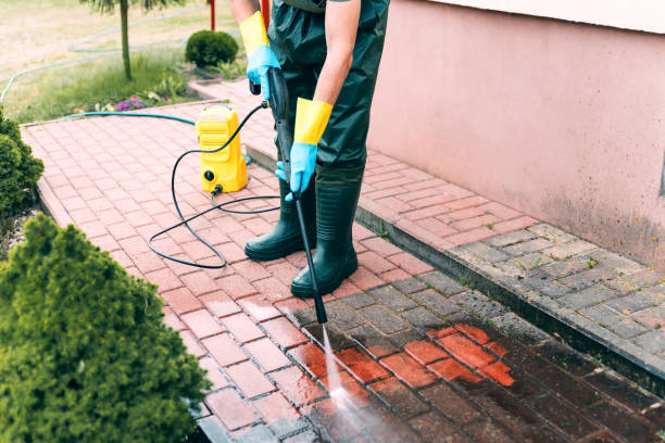 Professional  Pressure Washing Services in Felton, DE