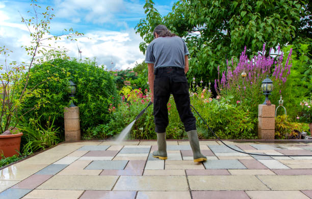 Best Restaurant Pressure Washing  in Felton, DE